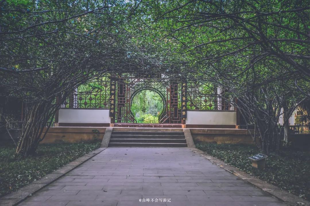 李子柒家乡成旅游景点,李子柒乡愁