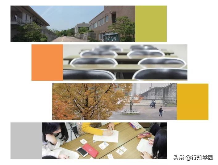 SGU项目2022年春季入学申请|广岛大学综合科学部国际共创（IGS）