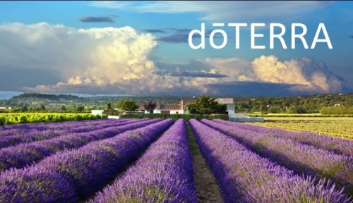 多特瑞薰衣草精油祛痘使用方法,美国多特瑞薰衣草精油