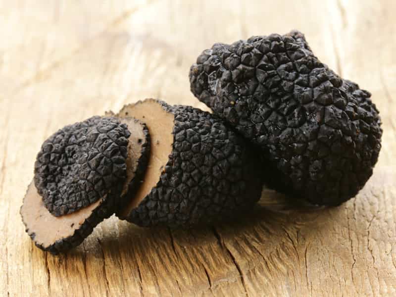 世界上最贵的食物松露,世界上最贵的食材松露