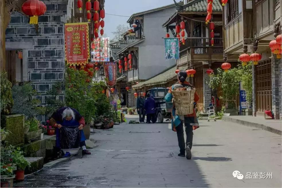 五朵金花组团出战,五朵金花齐聚的时候