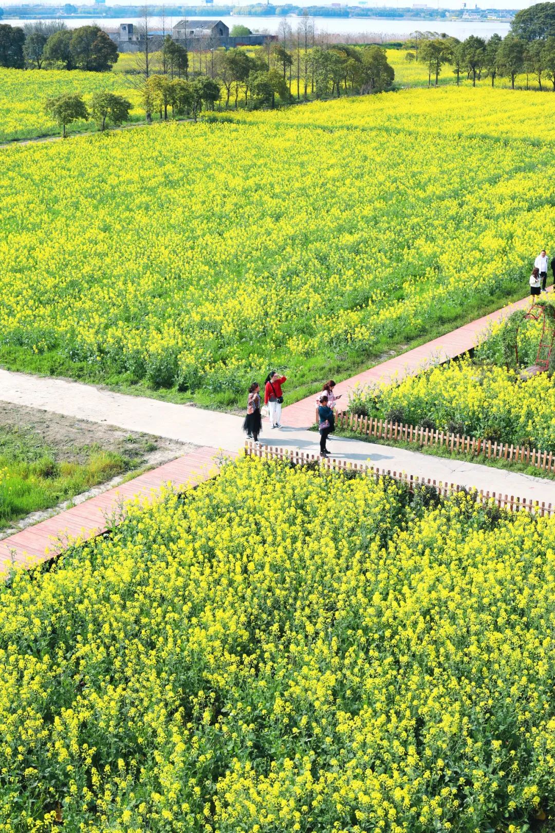 苏州的农村风光,苏州水乡农村风景