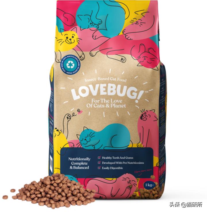 猫咪可以喂自制猫粮吗,用虫子做的食物