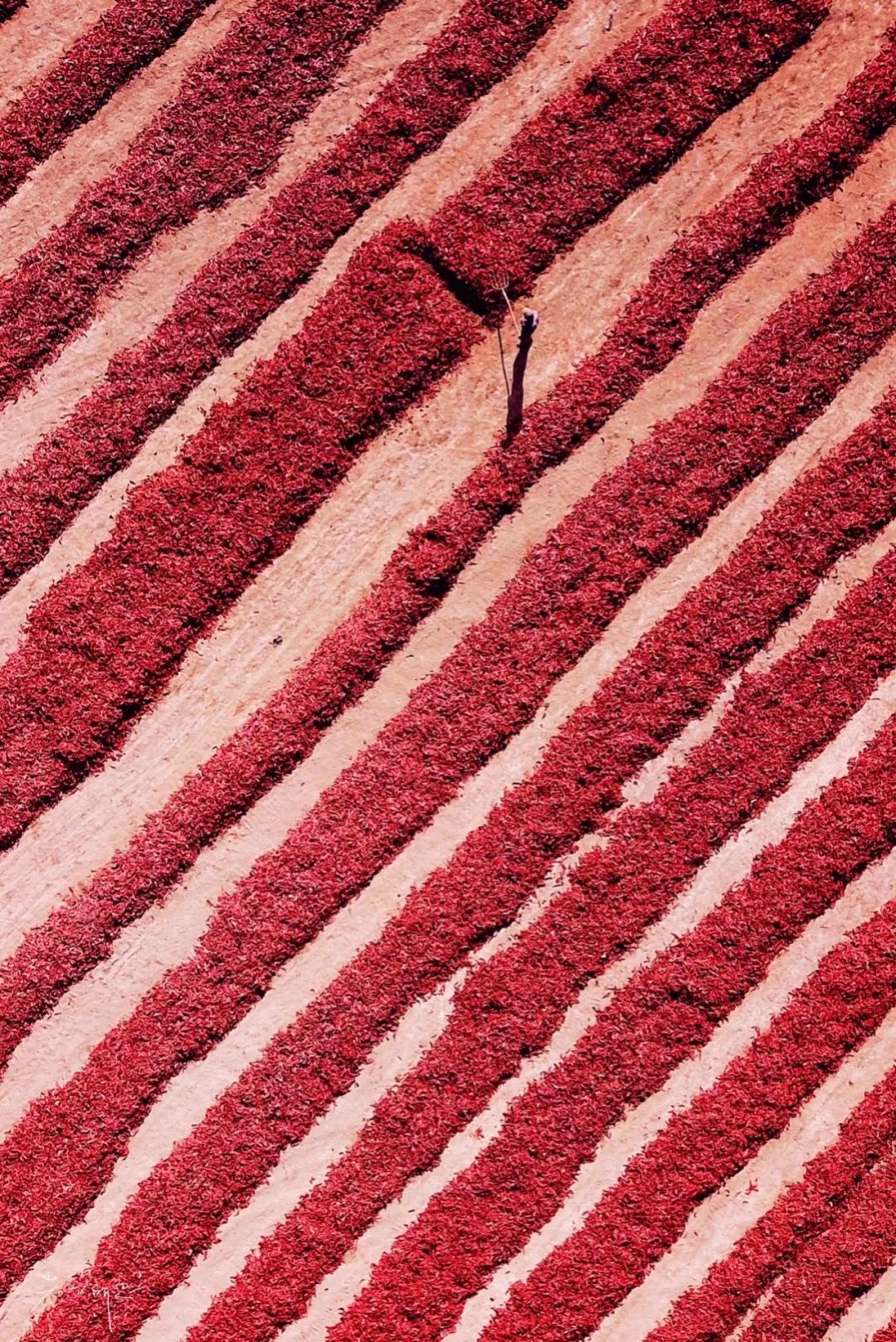 苏州女子探秘南疆巴州：这是一处色彩的世界，超出你的想象