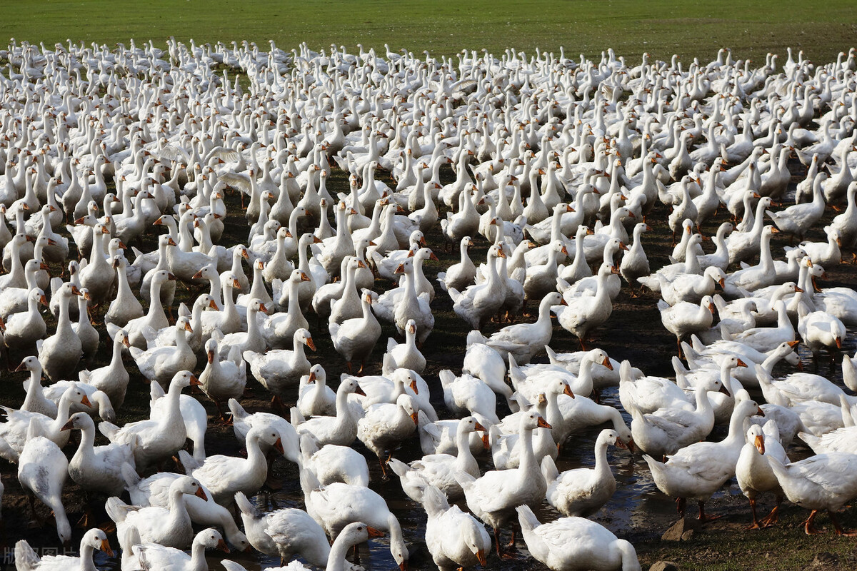 徐州24个项目列入省重大项目清单,徐州市重点项目2024年清单