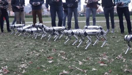 一群机器狗表演,一群机器狗视频