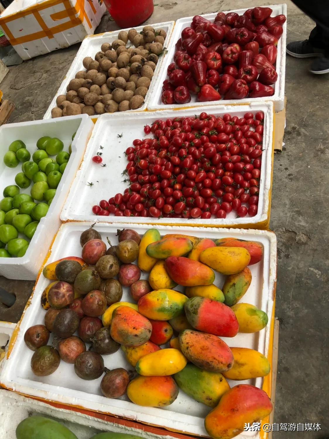 海南儋州白马井镇有什么好玩的,中国海南省儋州市白马井镇