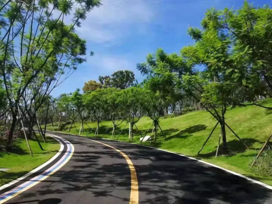 前所未有开新篇成都建设大美公园城市