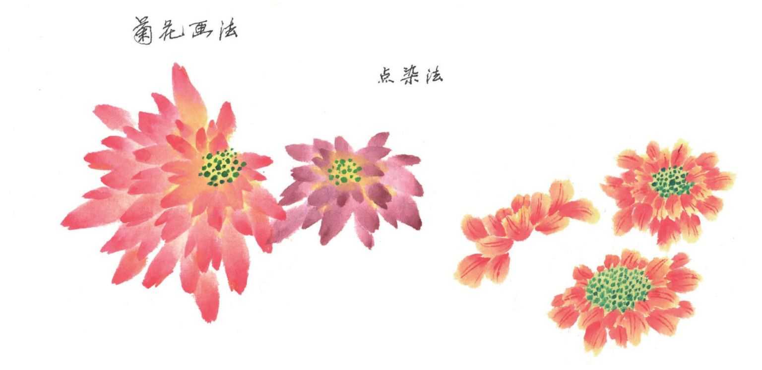 梅兰竹菊国画菊花初学者怎么用笔,国画菊花的画法和技巧