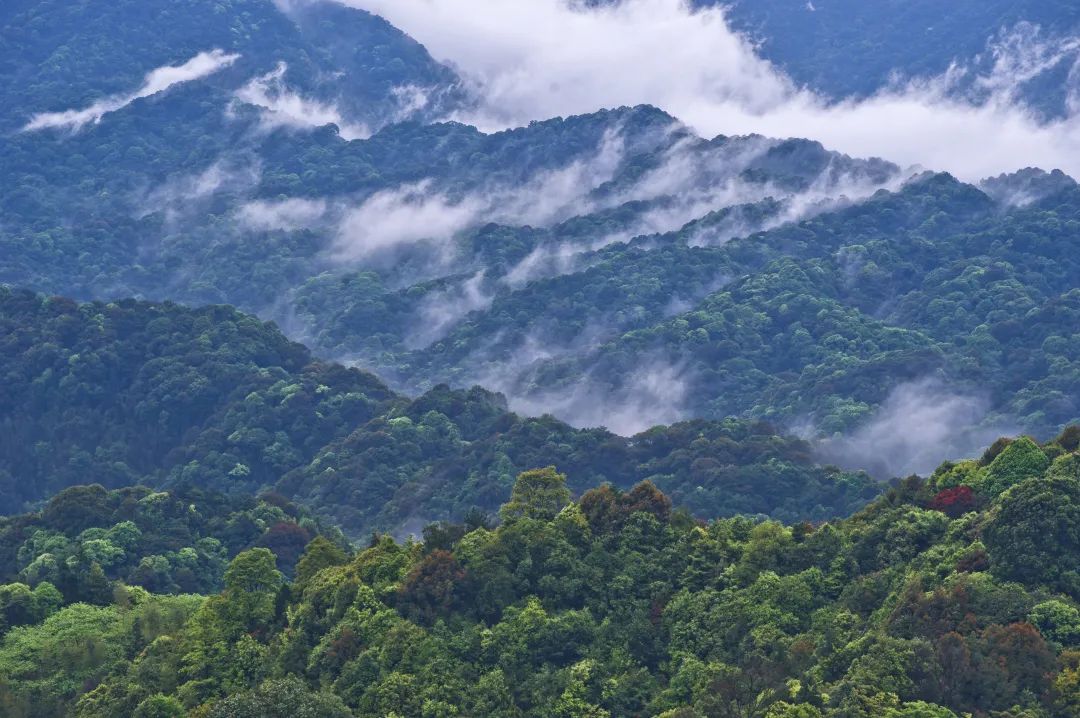 惠州招聘54人,惠州市招聘100人