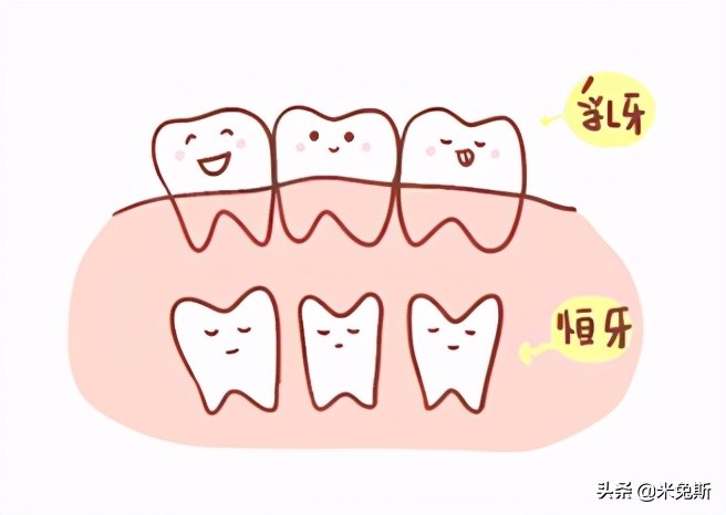 大家牙齿发育的怎么样,大家牙齿都长什么样