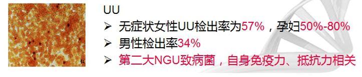 小黄盒检查支原体准不准,小黄盒查支原体准吗