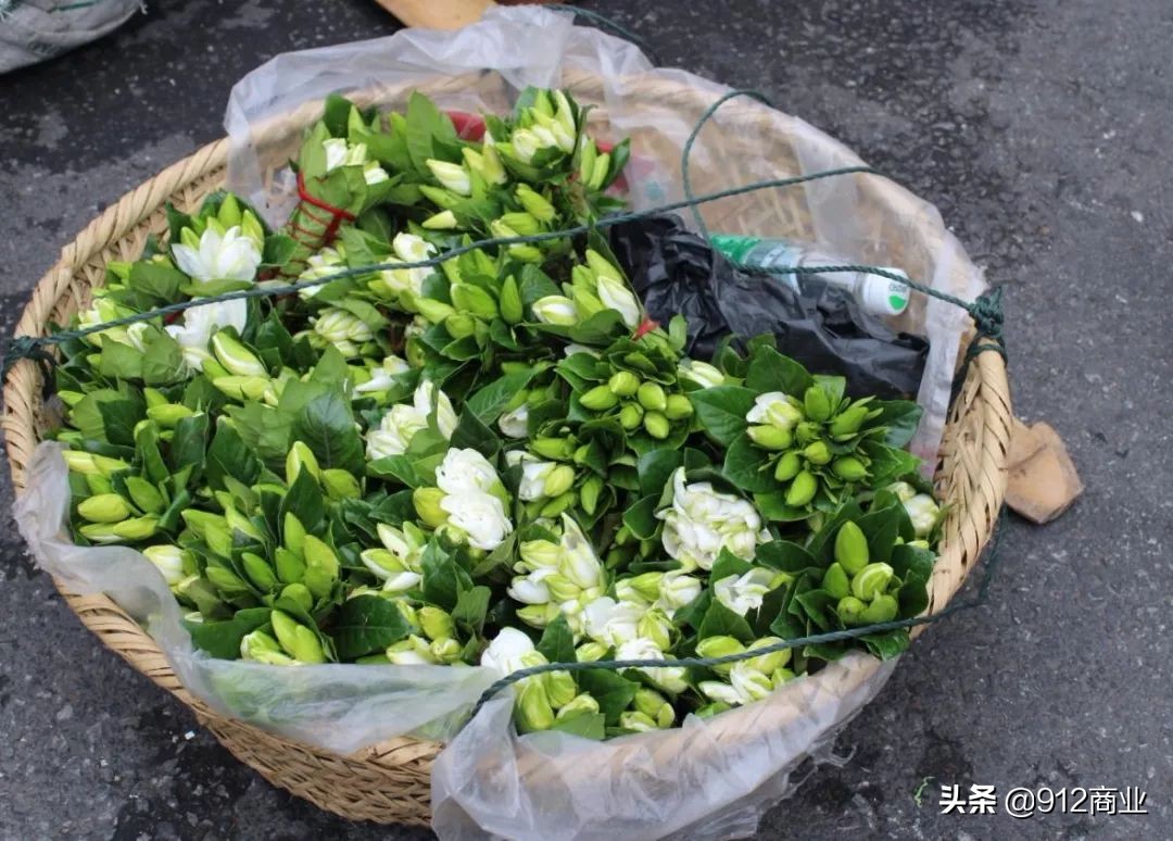 南京本地人冷知识,南京哪个区域是核心区