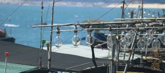 2万铁粉的海上直播间：出海、赌网、买海货，“一网邮费花两百”