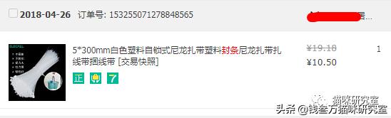 宠物托运全过程狗狗,宠物托运全过程国外
