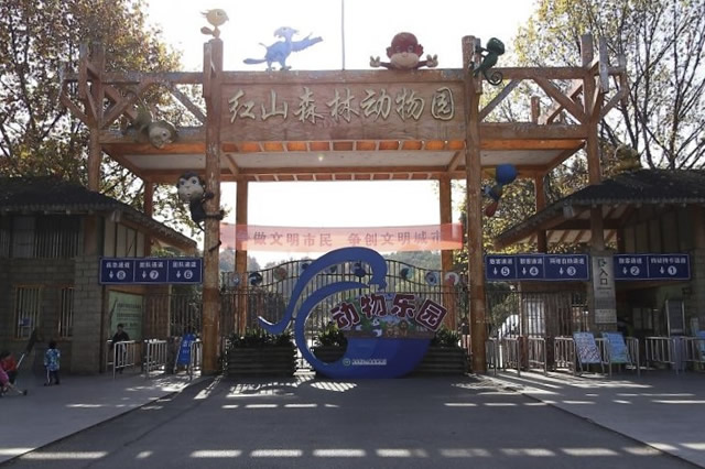 江苏旅游景点推荐亲子游,江苏省内适合亲子游的好地方