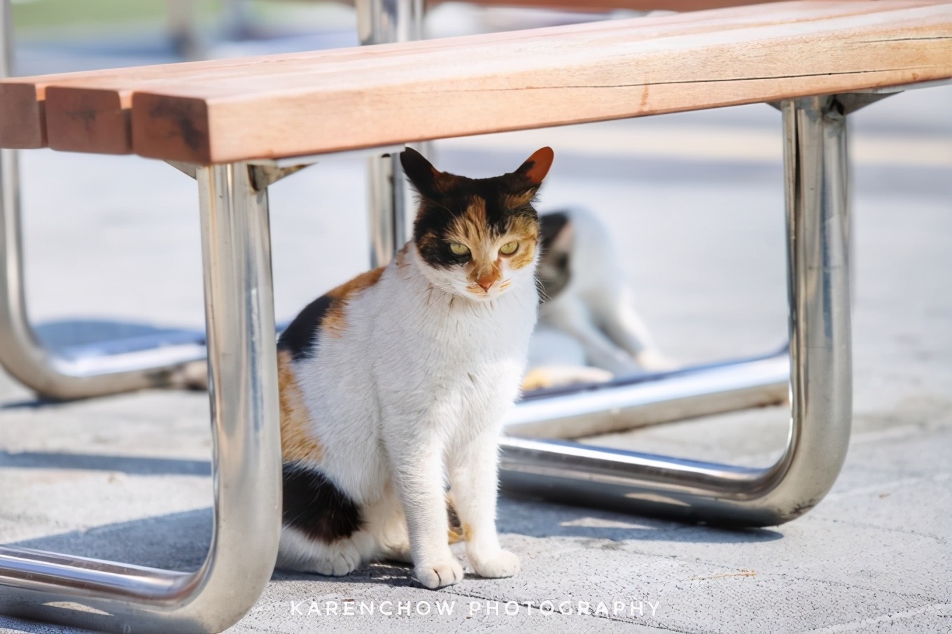 韩国安东美食,韩国釜山必游胜地