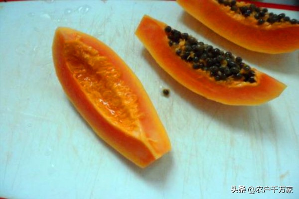 母兔奶水不足怎么催乳,母兔怎样喂养下奶多