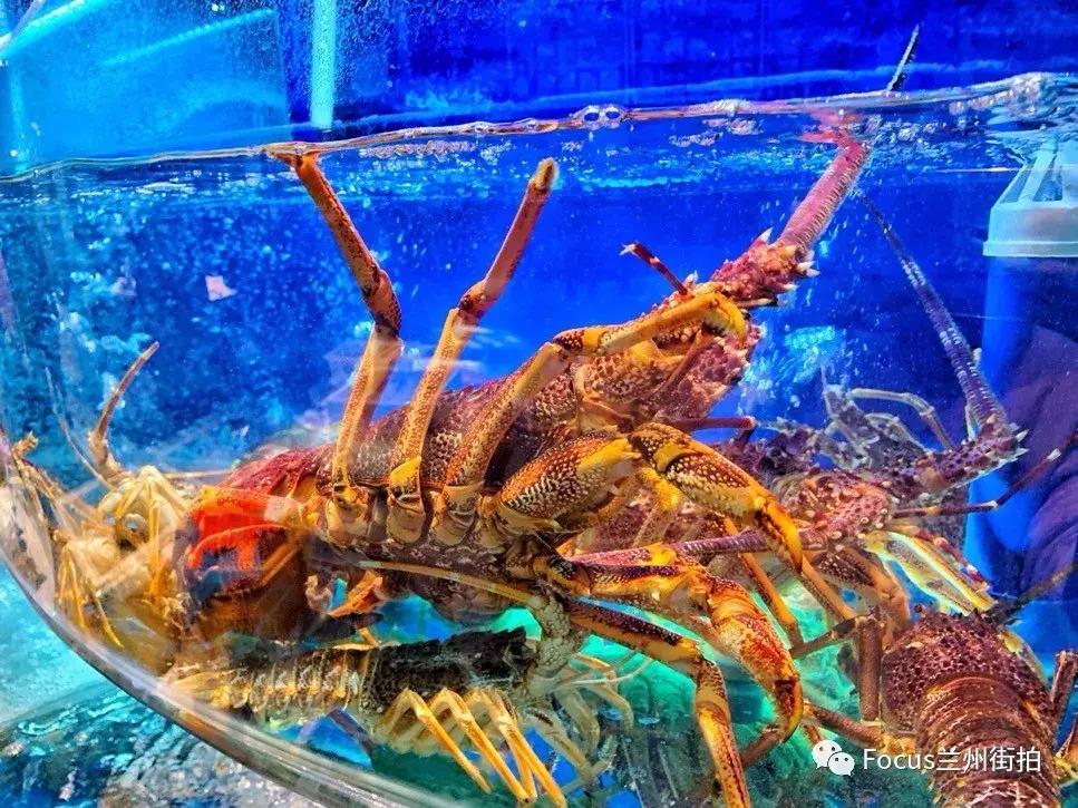 兰州好吃又实惠的海鲜,兰州值得推荐海鲜店