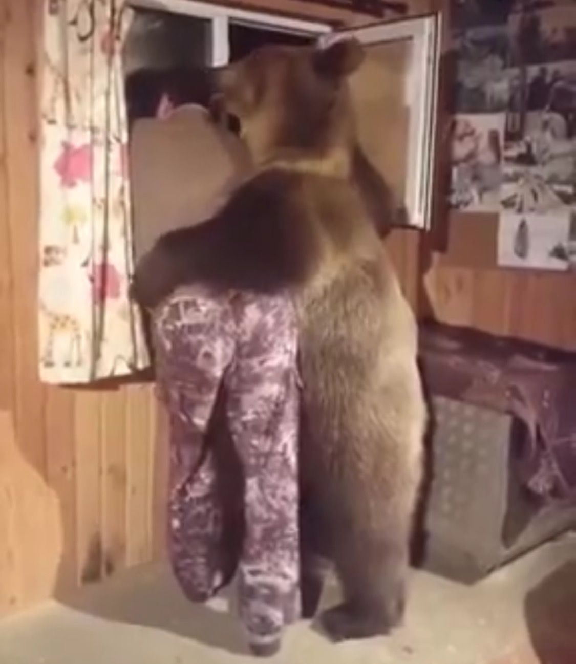 盘点俄罗斯人的彪悍时刻,30条关于俄罗斯的日常