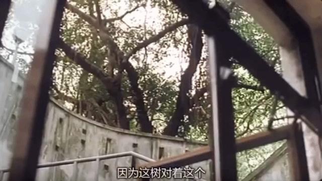 真实事件改编（十五）：她是完美情人，却只想吃了你