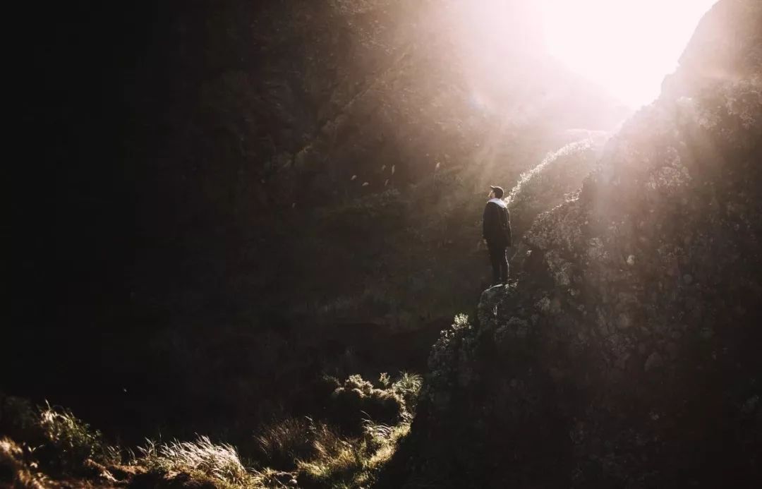 没病到一定程度，千万别去做自由职业者