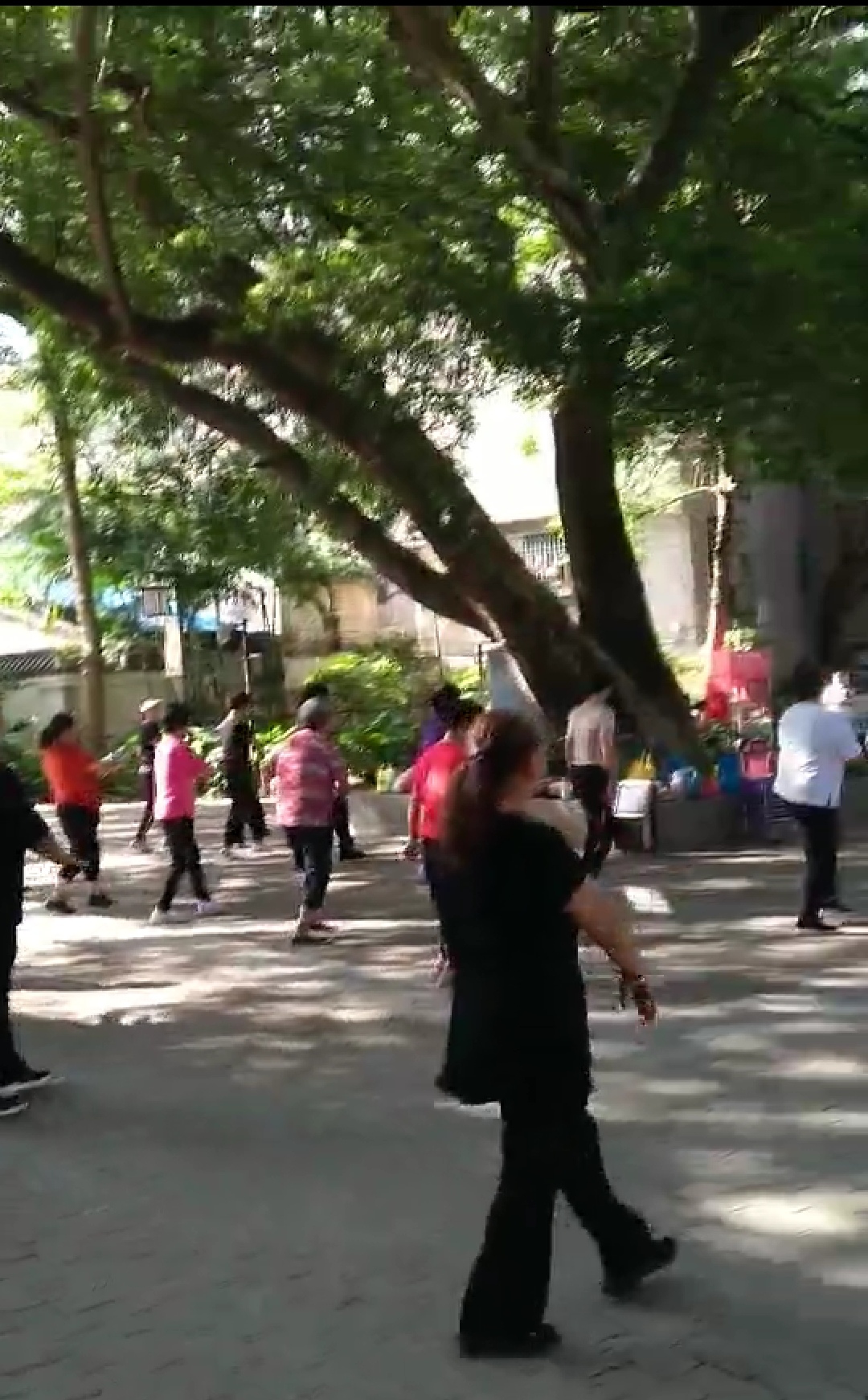 租客包租婆的故事,包租婆与租客的故事