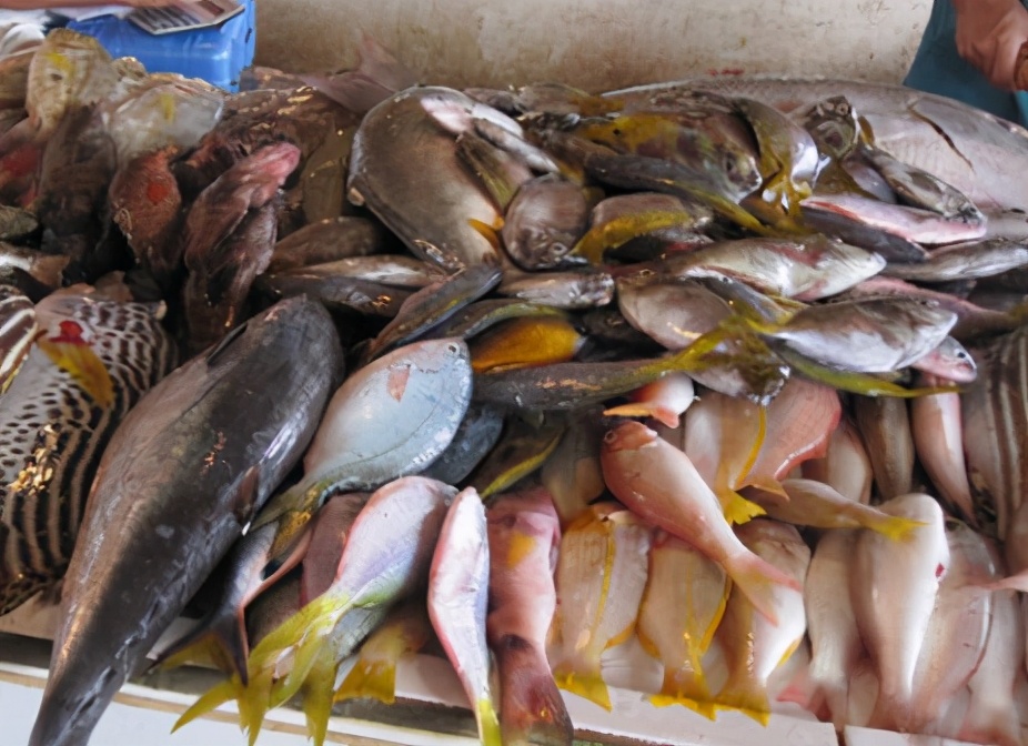 五种好吃又实惠的海水鱼,海水鱼什么鱼最好吃