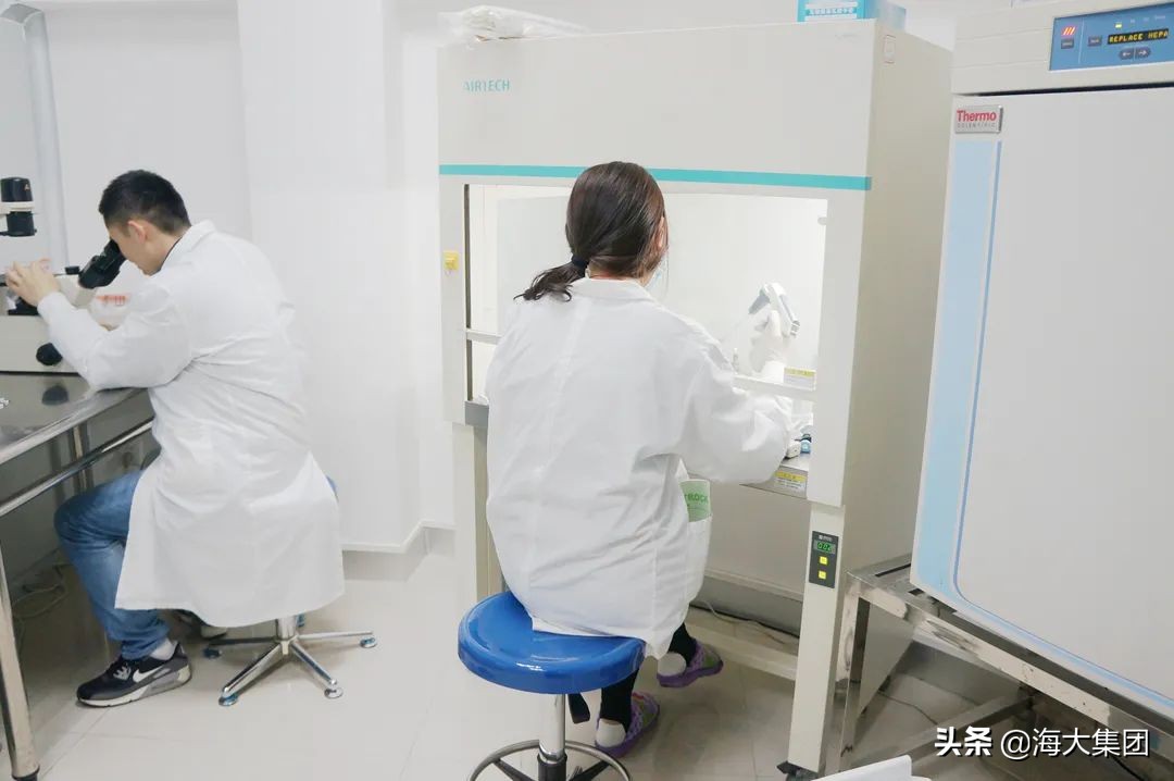 海大贾爱卿博士:坚守科技兴农初心翻开海大兽用生物制药新篇章