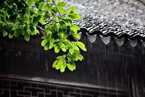 陆游最经典的一首诗，却成诗词大会最难题目，冠军彭敏都甘拜下风