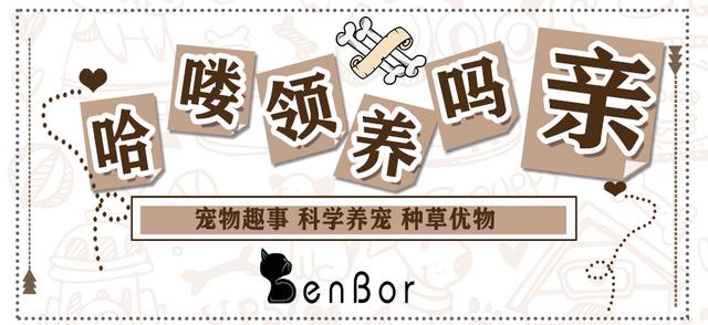 为什么有人把猫咪胡须剪了,拽猫尾巴会发生什么