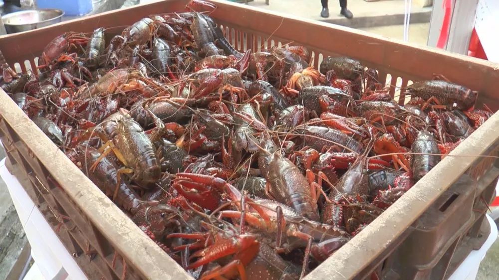 孝昌农业发展现状简介,稻虾第一村产业示范园