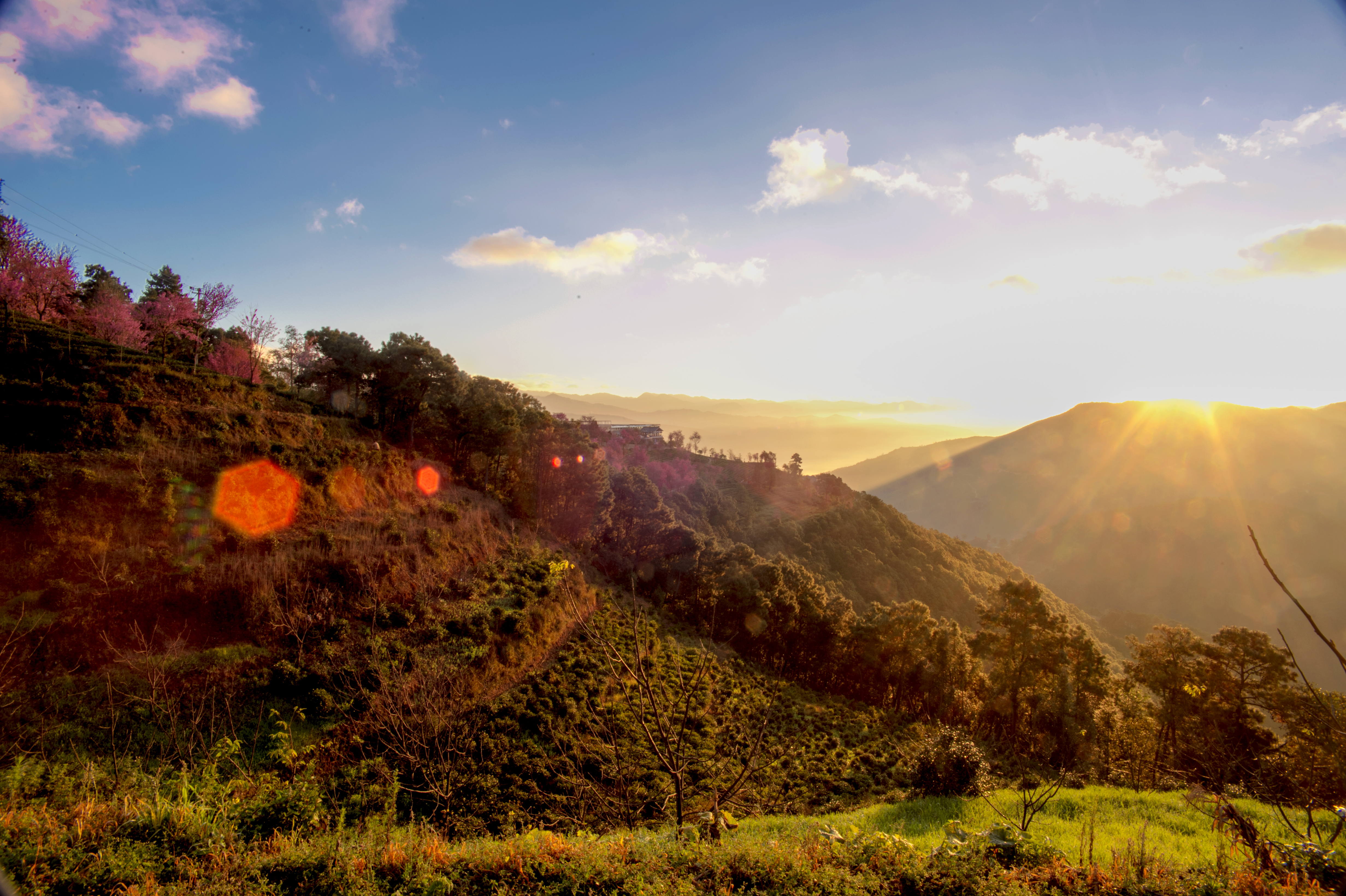 2023腾冲看银杏最佳时间,腾冲看银杏树旅游攻略