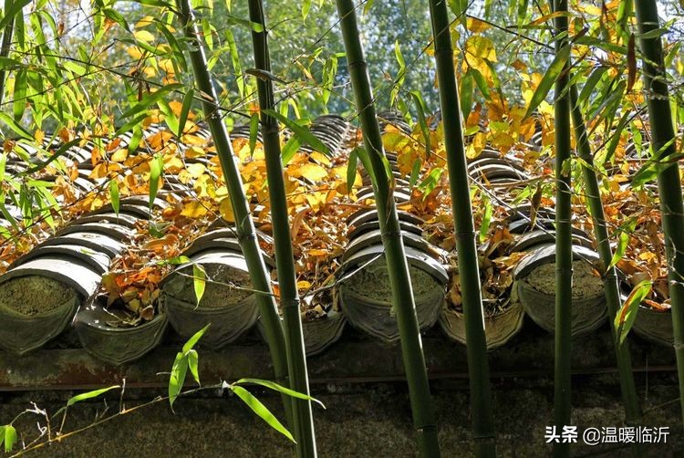 竹泉村景区,最美竹泉村