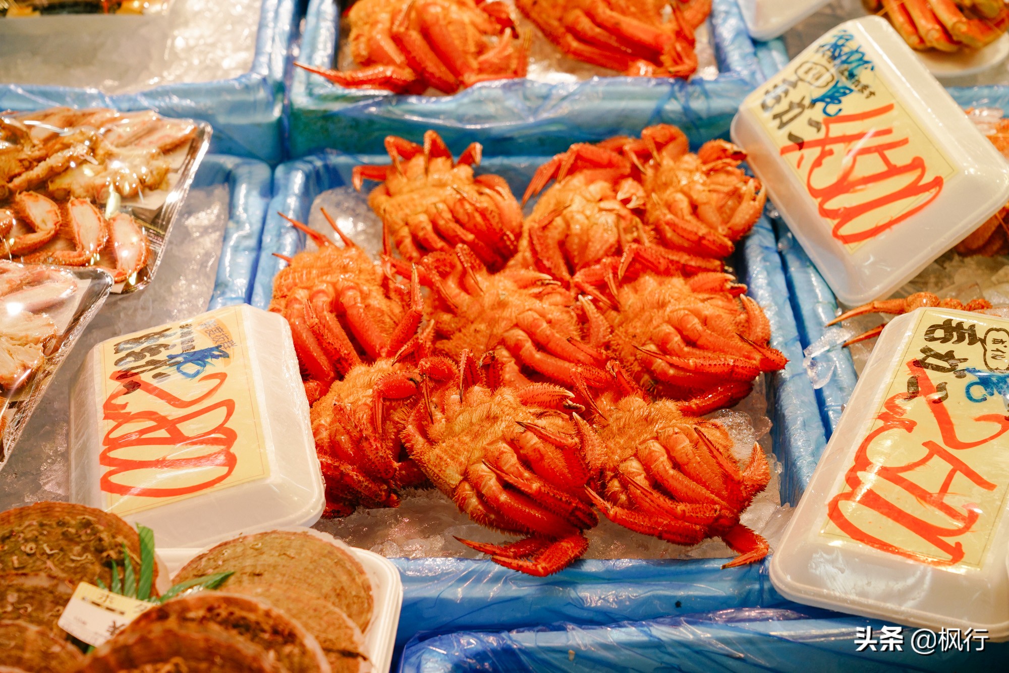 日本最正宗的海鲜市场,在日本吃海鲜的人