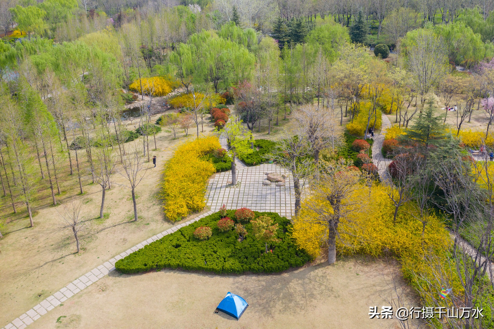 济南森林公园色彩斑斓秋意渐浓,济南今年的森林公园风景如画