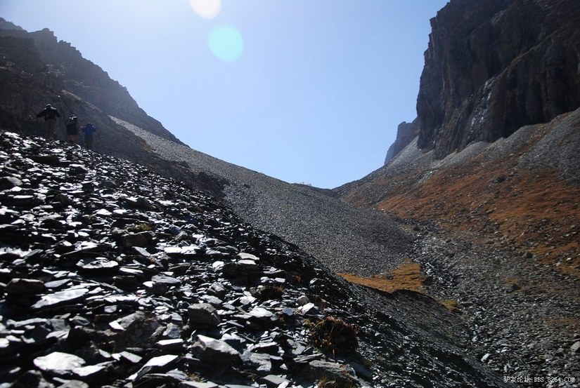 狼c调简谱教唱,狼c
