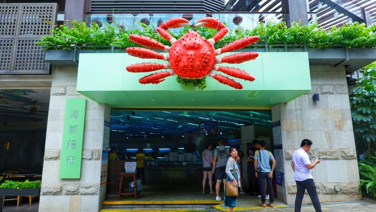 三亚海棠湾生活避坑指南 (三亚攻略海棠湾)