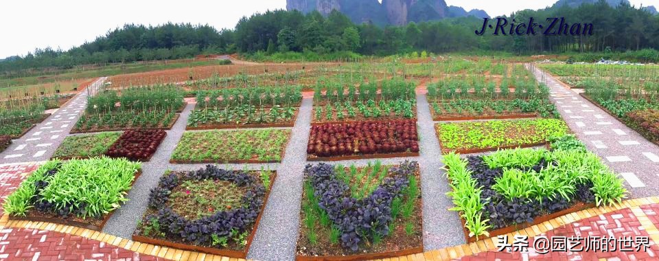 城市蔬菜园景观设计,蔬菜花园造型