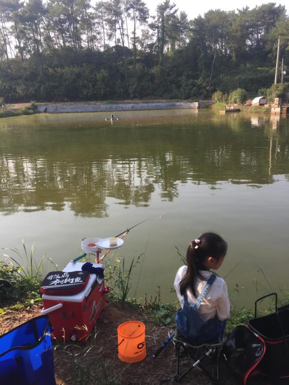 汀粉二代出征，神鹤轻强硬喜获佳绩