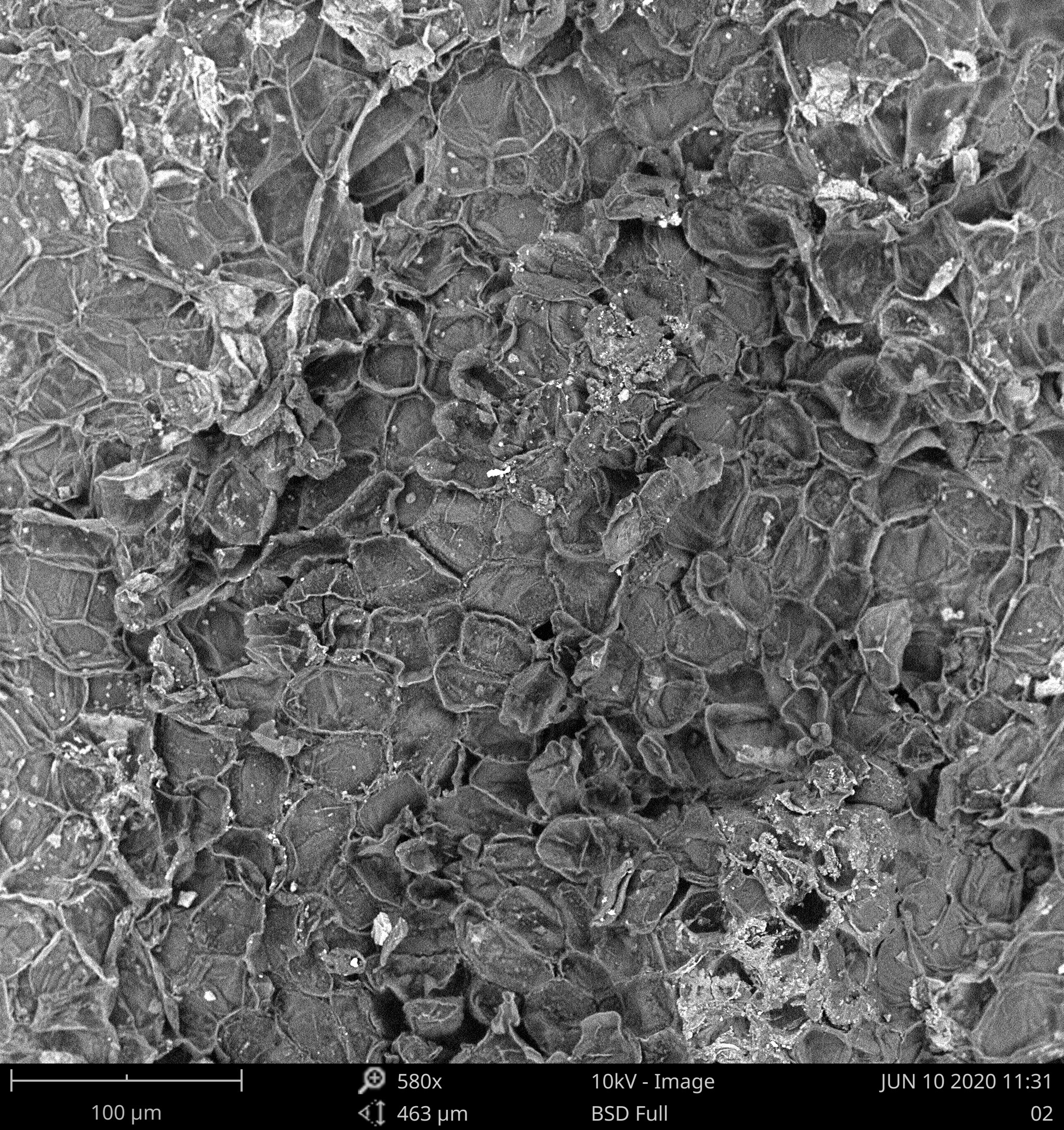 扫描电镜不导电样品需要怎么处理,扫描电镜不导电的样品拍出来模糊