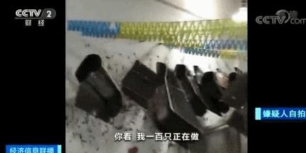 lv爱马仕真假,爱马仕和lv都是法国的吗