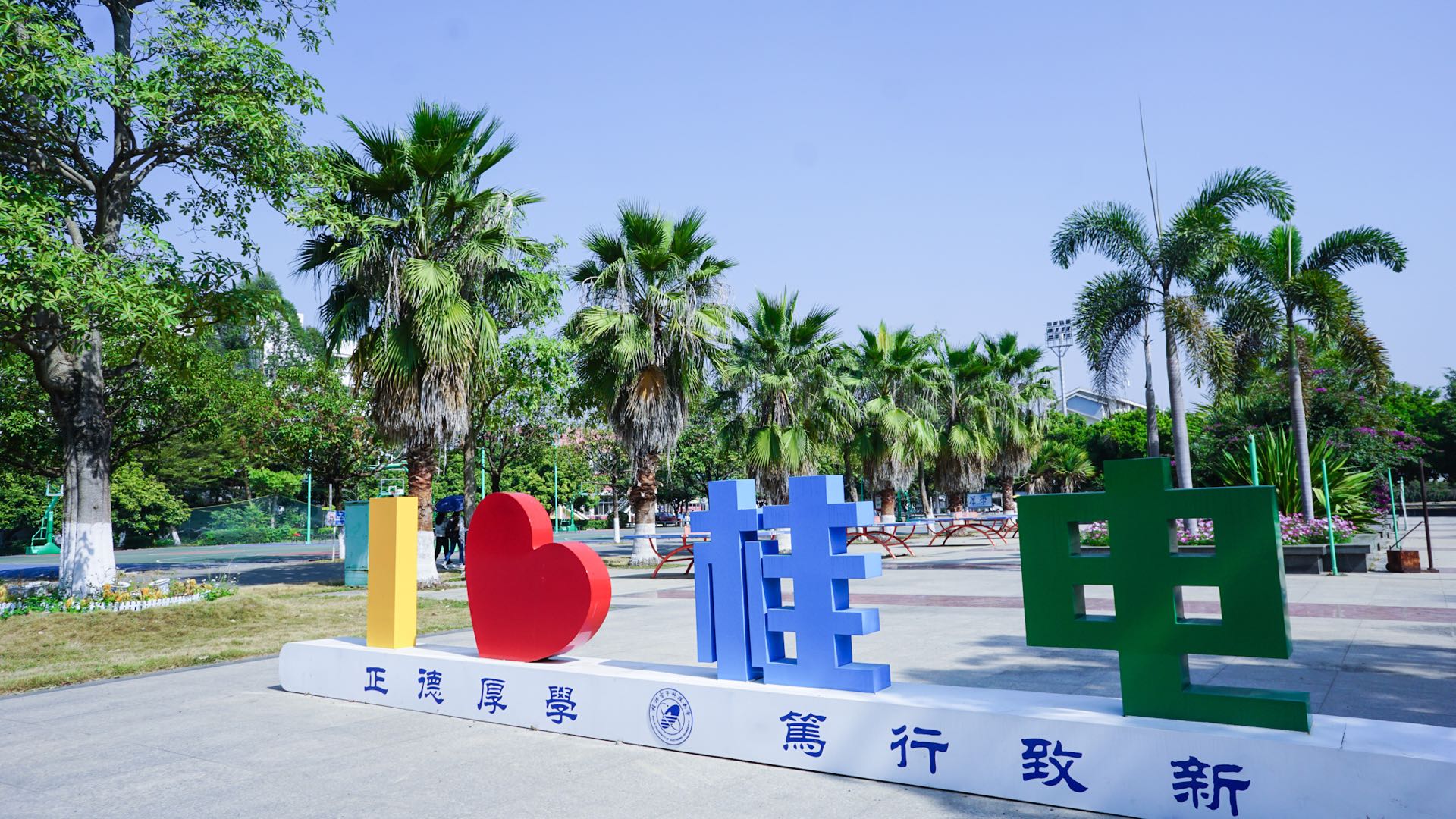 从北海一路开车到越南，都遇到了什么？