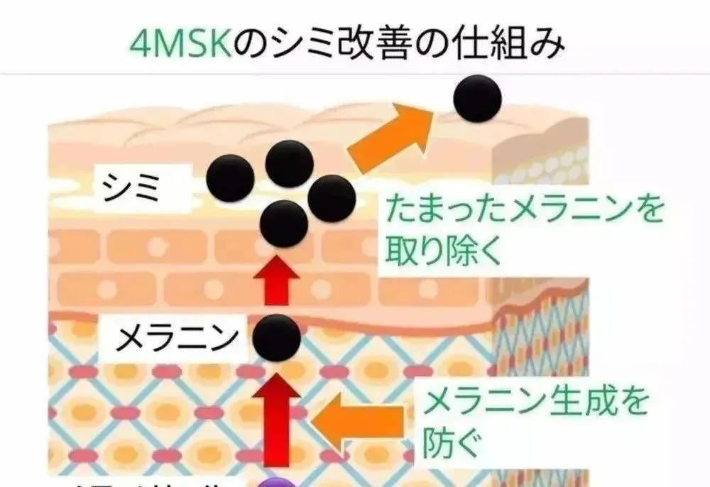 悦薇水乳滋润适合什么肤质,悦薇水乳滋润型适合什么肤质
