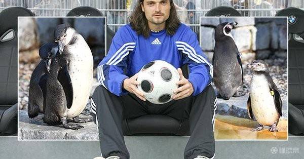 菲尔米诺现在的情况,菲尔米诺怎么进化