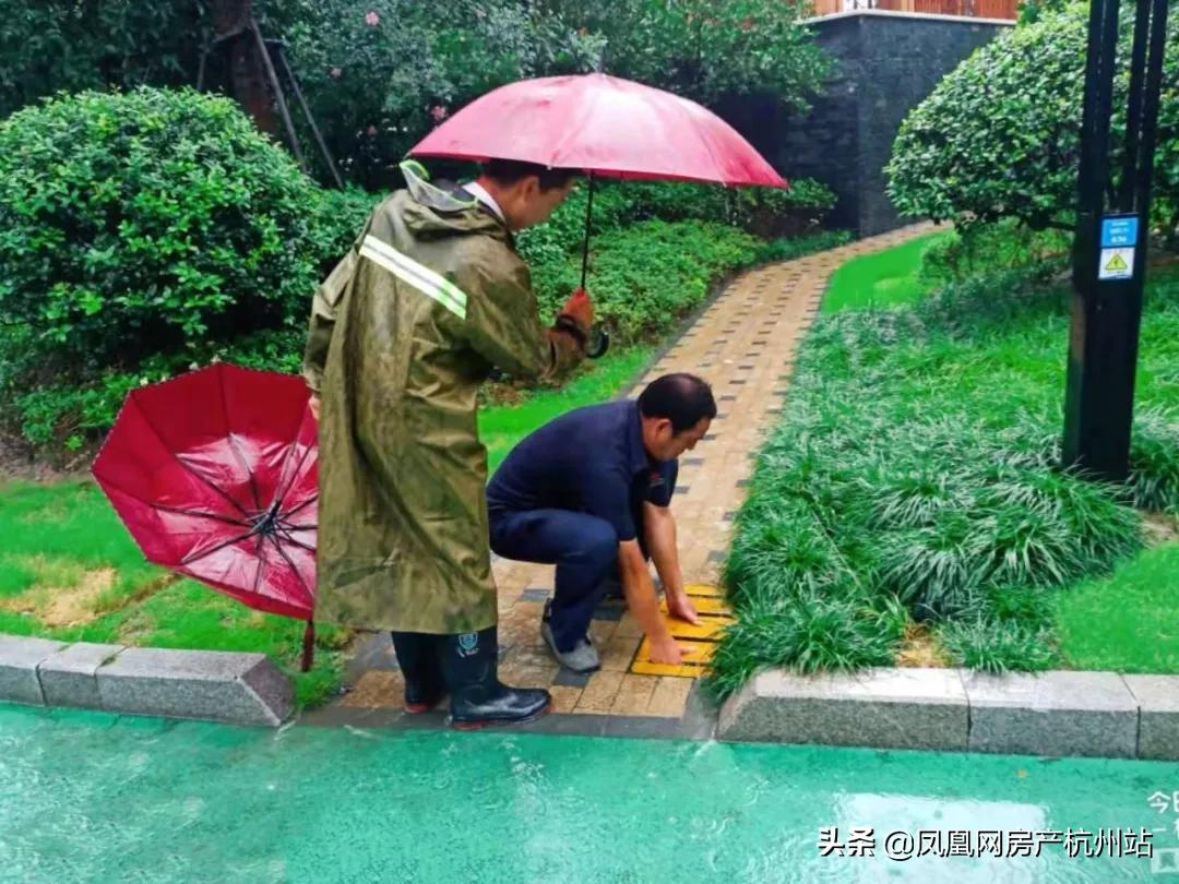 烟花过境宁波,烟花过境淮北