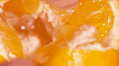 清远冬季水果,清远冬季水果采摘