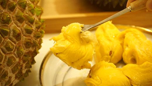 猫山王榴莲上市了吗,猫山王榴莲几月份成熟上市