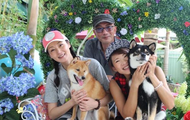 万绮雯和丁俊平,万绮雯结了多少次婚