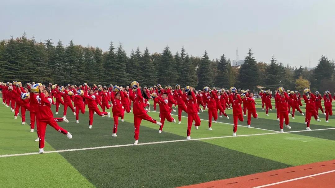 运动赛场展雄姿征文,运动盛会展风采